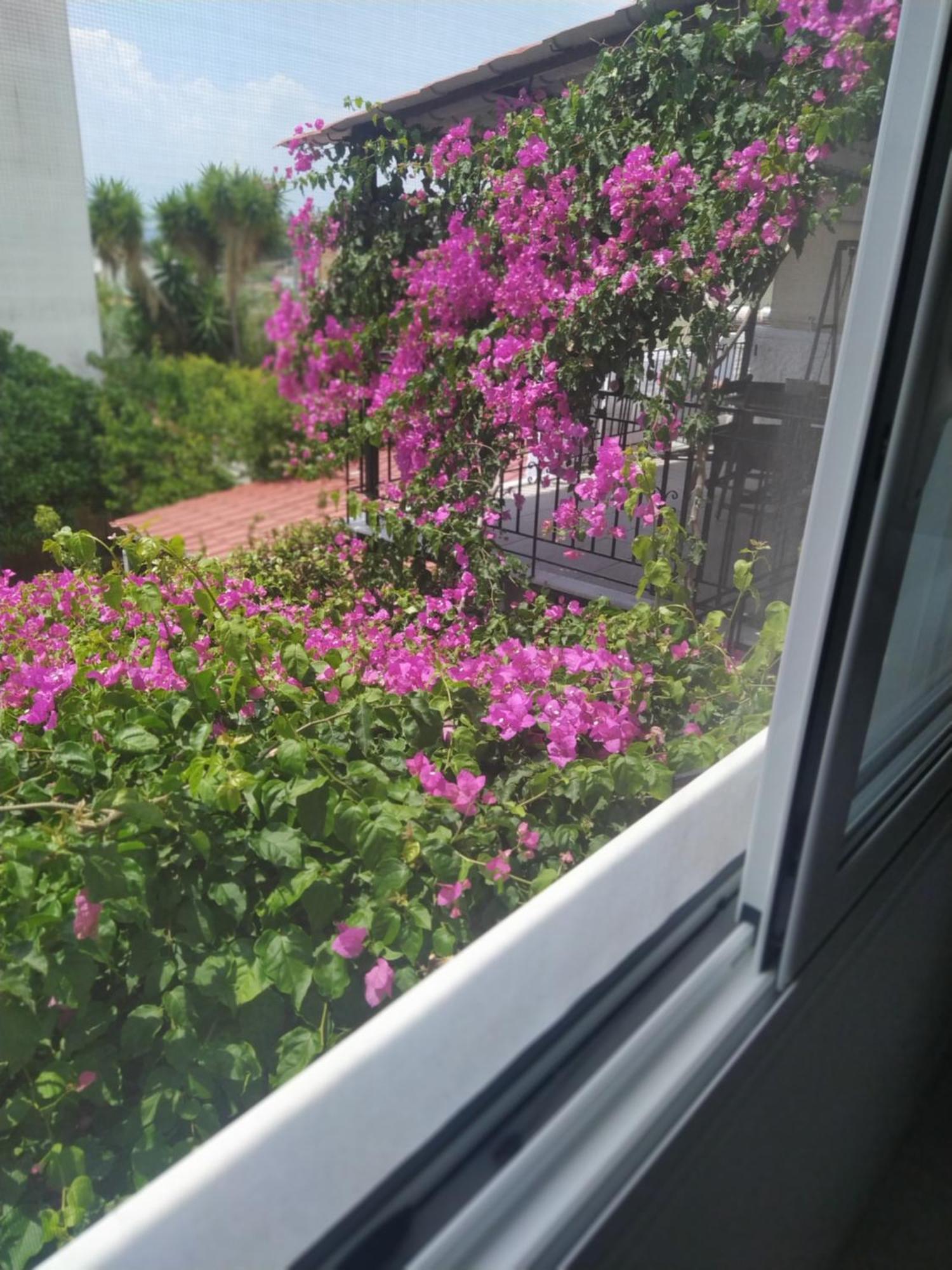 Kritharia Guesthouse Volos Buitenkant foto